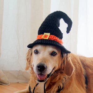 Witch Hat for Dogs, Dog Witch Hat, Halloween Hat for Dogs, Large Breed Dog Costume, Halloween Dog Hat, Witch Dog Hat image 4