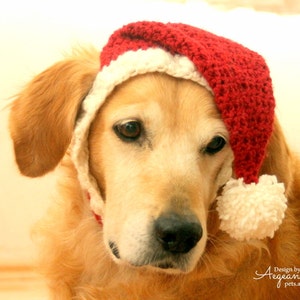 Santa Hat for Dogs, Dog Santa Hat, Holiday Dog Hat, Christmas Hat for Dogs, Large Breed Dog Hat, Christmas Dog Hat, Santa Dog Hat image 6