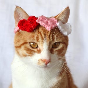 Heart Headband for Cats, Valentine's Day Cat Accessories, Cat Photo Prop for Valentines Day, Cute Cat Accessories, Cat Valentines Apparel immagine 1