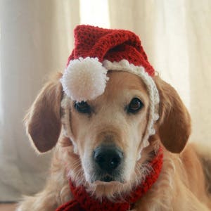 Santa Hat for Dogs, Dog Santa Hat, Holiday Dog Hat, Christmas Hat for Dogs, Large Breed Dog Hat, Christmas Dog Hat, Santa Dog Hat image 9