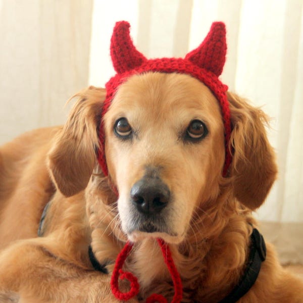 Devil Dog Costume, Devil Horns for Large Breed Dogs, Red Devil Dog Hat, Devil Halloween Dog Costume, Cute Dog Costume, Funny Dog Costume