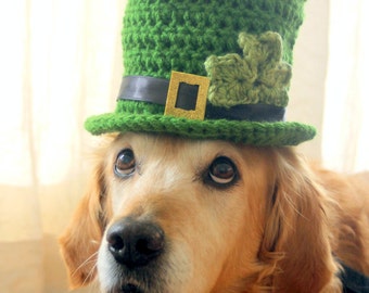 St. Patrick s Day Dog Hat Leprechaun Hat for Dogs Leprechaun Dog