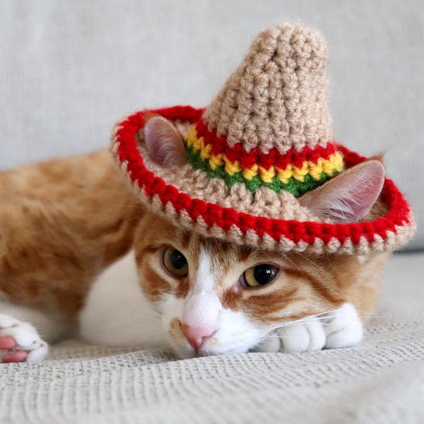 Cat Sombrero, Sombrero voor katten, Sombrero-hoed met oorgaten voor katten en XS-honden, Cinco de Mayo kattenhoed, fiestahoed voor katten, Taco kattenhoed