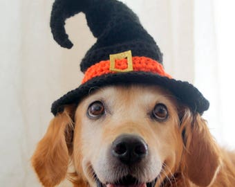 Chapeau de sorcière pour chiens, chapeau de sorcière de chien, chapeau d'Halloween pour chiens, costume de chien de grande race, chapeau de chien d'Halloween, chapeau de chien de sorcière