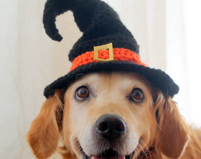Witch Hat for Dogs Dog Witch Hat Halloween Hat for Dogs Etsy