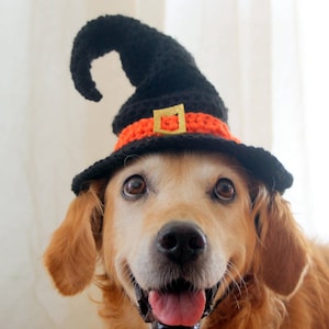 Witch Hat for Dogs, Dog Witch Hat, Halloween Hat for Dogs, Large Breed Dog Costume, Halloween Dog Hat, Witch Dog Hat