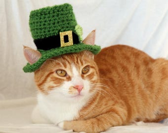 Leprechaun Cat Hat, St. Patrick's Day Hat for Cats, St Patricks Day Cat Accessory, Leprechaun Hat for Cats, St. Patrick's Day Pet Photo Prop