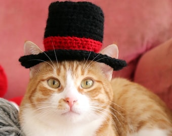 cat hat etsy