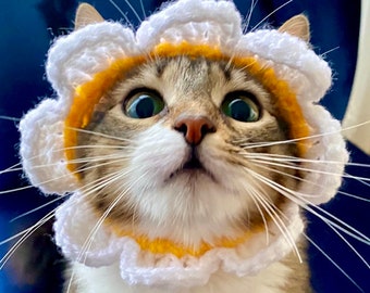 Op de afbeelding: Een tabbykat met een witte gehaakte bloemenkraag met gele accenten. De kat kijkt omhoog met grote ogen en heeft een verraste uitdrukking.