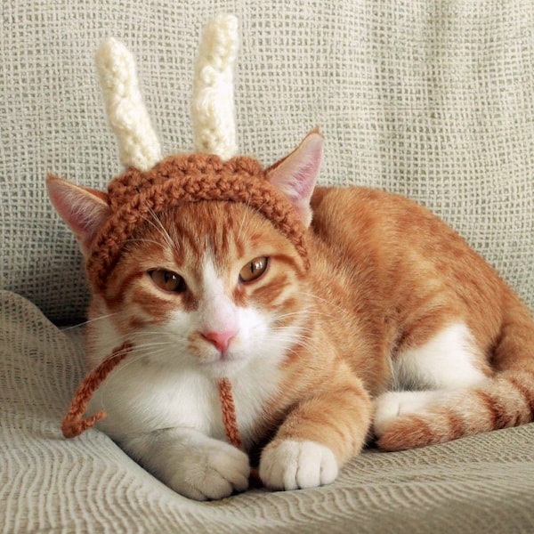 Chapeau chat renne, bois de renne de chat, cornes de renne pour chats, déguisement de Noël pour petits chiens, déguisement de chat de Noël, déguisement mignon pour animal de compagnie