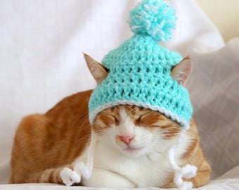 Cat Hat, Beanie for Cats & Kittens, Pom Pom Hat for Male Cats, Toboggan Hat for Boy Cats, Aqua Cat Stocking Cap, Feline Accessories