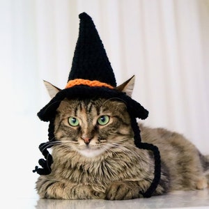 Cat in the hat costume for cats new arrivals