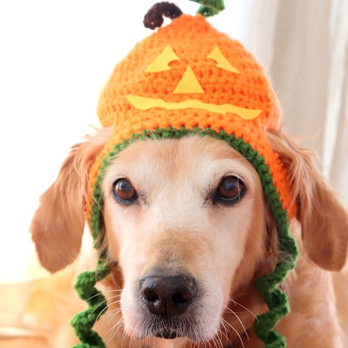 Halloween Hats For Dogs