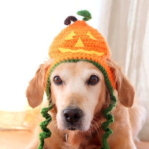 Halloween Dog Hat, Jackolantern Hat for Dogs, Pumpkin Dog Hat, Jack-o-Lantern Dog Costume, Halloween Dog Outfit, Pumpkin Hat for Large Dogs