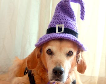 Chapeau de sorcière violet pour chiens, chapeau de sorcière de chien, chapeau d’Halloween pour chiens, chapeau de chien d’Halloween, chapeau de chien de sorcière, parfait pour les chiens noirs de grande race