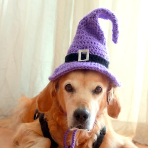 Purple Witch Hat for Dogs, Dog Witch Hat, Halloween Hat for Dogs, Halloween Dog Hat, Witch Dog Hat, Perfect for Large Breed Black Dogs