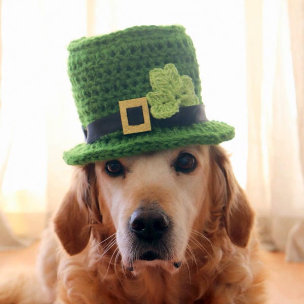 St. Patrick's Day Dog Hat, Leprechaun Hat for Dogs, Leprechaun Dog Costume, St. Patrick's Day Dog Costume, Bearded Dog Hat,