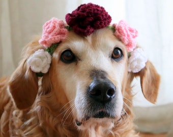 Collier de fleurs / Couronne de fleur pour chiens, collier de fleur 2-en-1 / bandeau avec bourgogne, rose, et fleurs blanches, accessoires de mariage d’animal familier