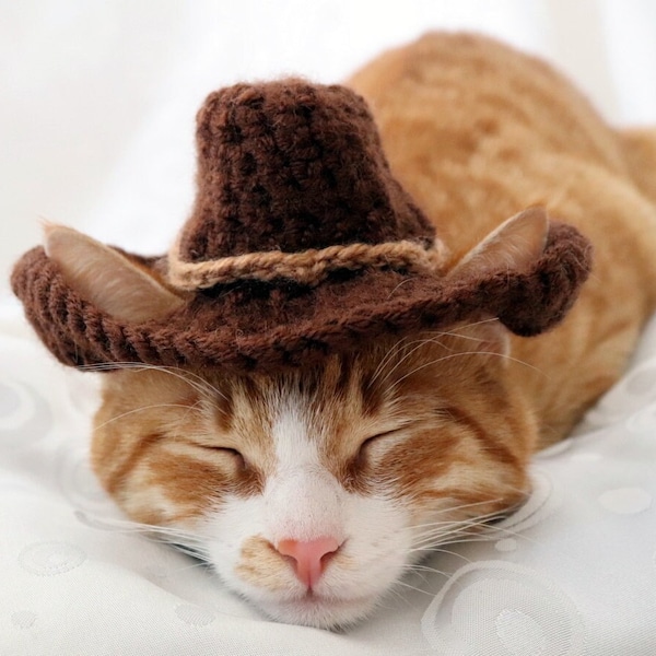 Cowboy Hat for Cats - Bandana Add On Option, Cowboy Halloween Costume for Cats, Small Cowboy hat for Pets, Texas Country Western Cat Hat