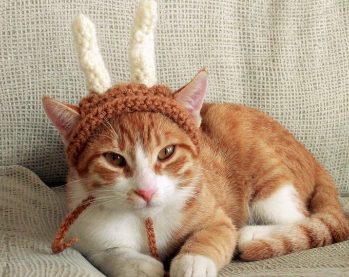 cat reindeer costume