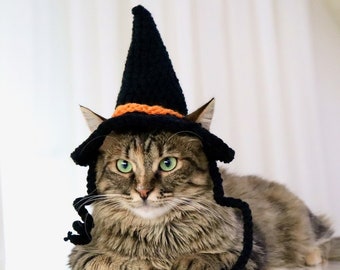 Hexe Katzen Hut, Hexe Hut für Katzen, Halloween Katze Kostüm, Halloween Hut für Katzen, Hexe Hut für kleine Hund, Halloween Haustier Hut, Hexe Hund Haustiere