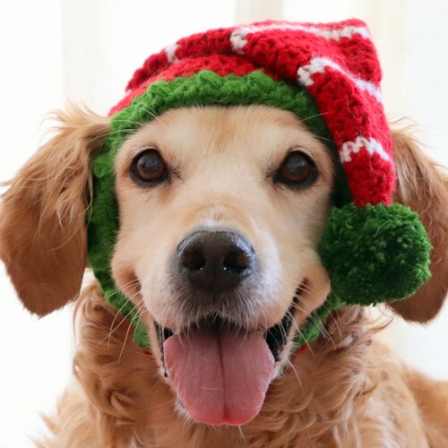 Elf Hat for Dogs Dog Elf Hat Holiday 