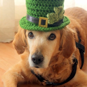 St. Patrick's Day Dog Hat, Leprechaun Hat for Dogs, Leprechaun Dog Costume, St. Patrick's Day Dog Costume, Bearded Dog Hat, image 6