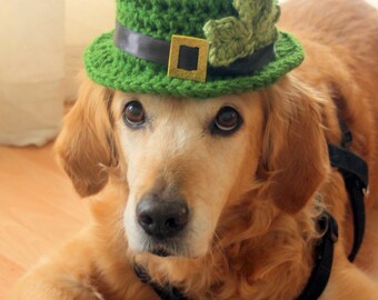 Dog Hat Leprechaun Hat for Dogs 