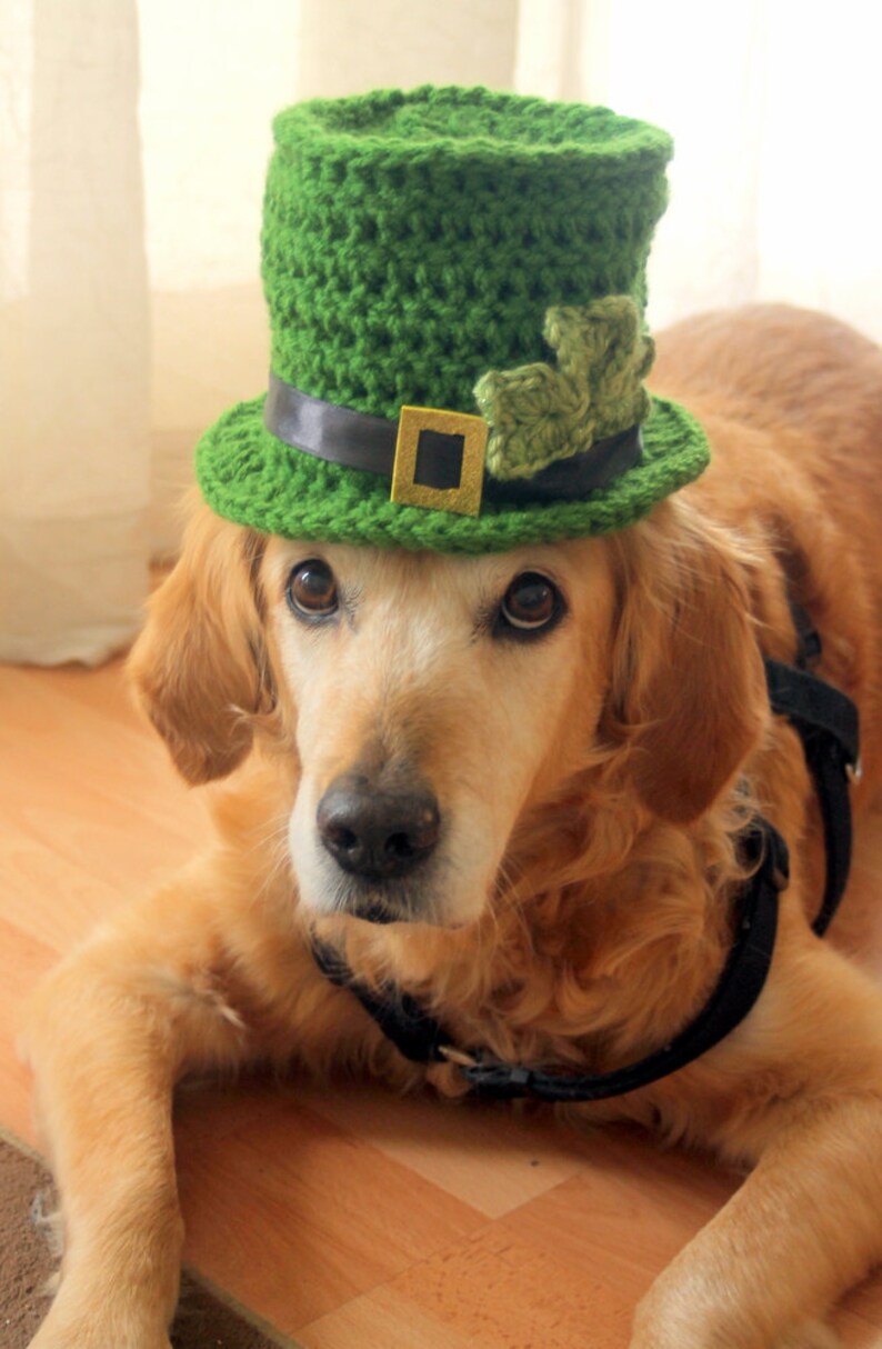 St. Patrick's Day Dog Hat, Leprechaun Hat for Dogs, Leprechaun Dog Costume, St. Patrick's Day Dog Costume, Bearded Dog Hat, image 6