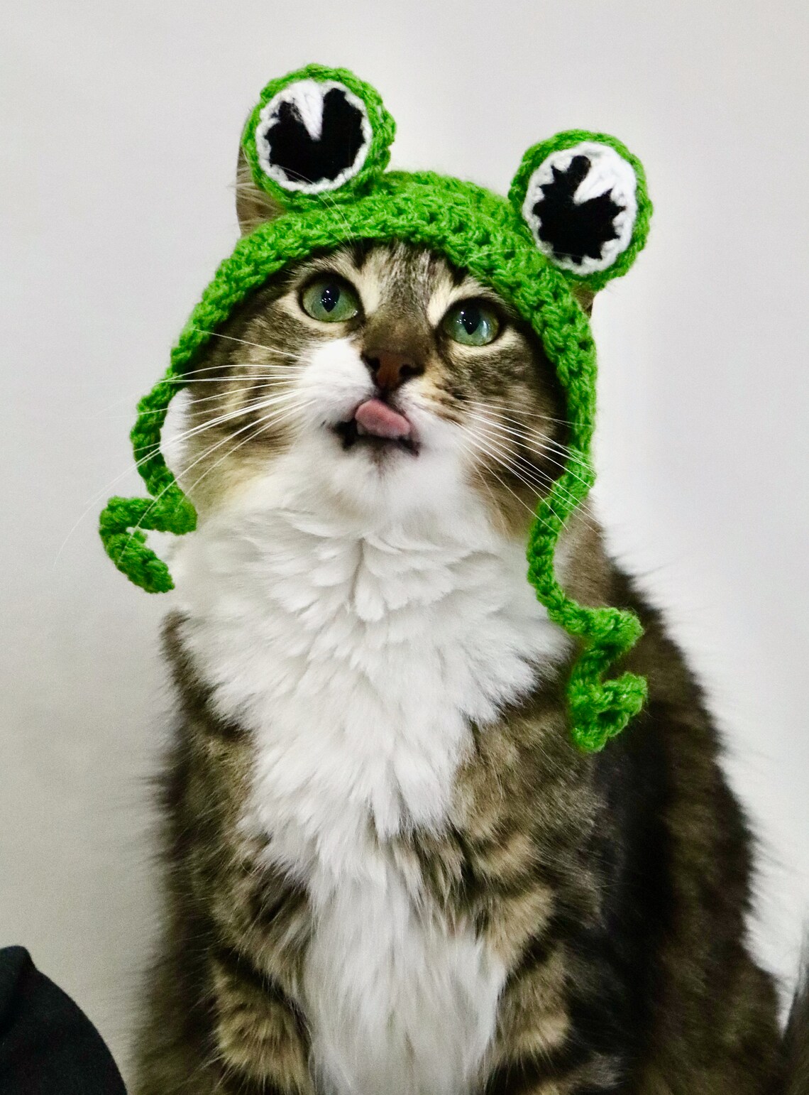Frog Hat for Cats Funny Feline Frog Accessory / Costume Frog | Etsy