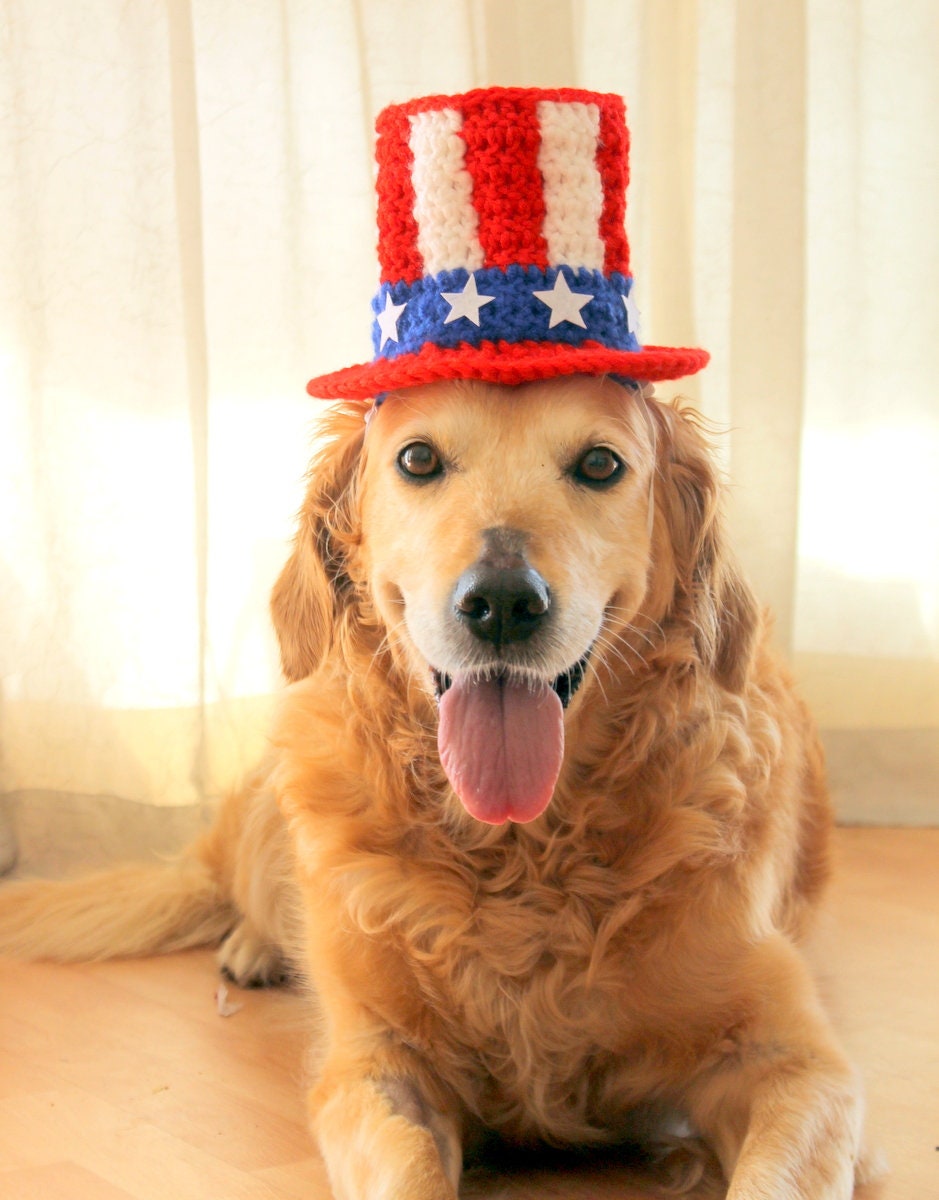 Uncle Sam Dog 4th Of July Outfits Uncle Sam Patriotic USA July 4th - Main Image
