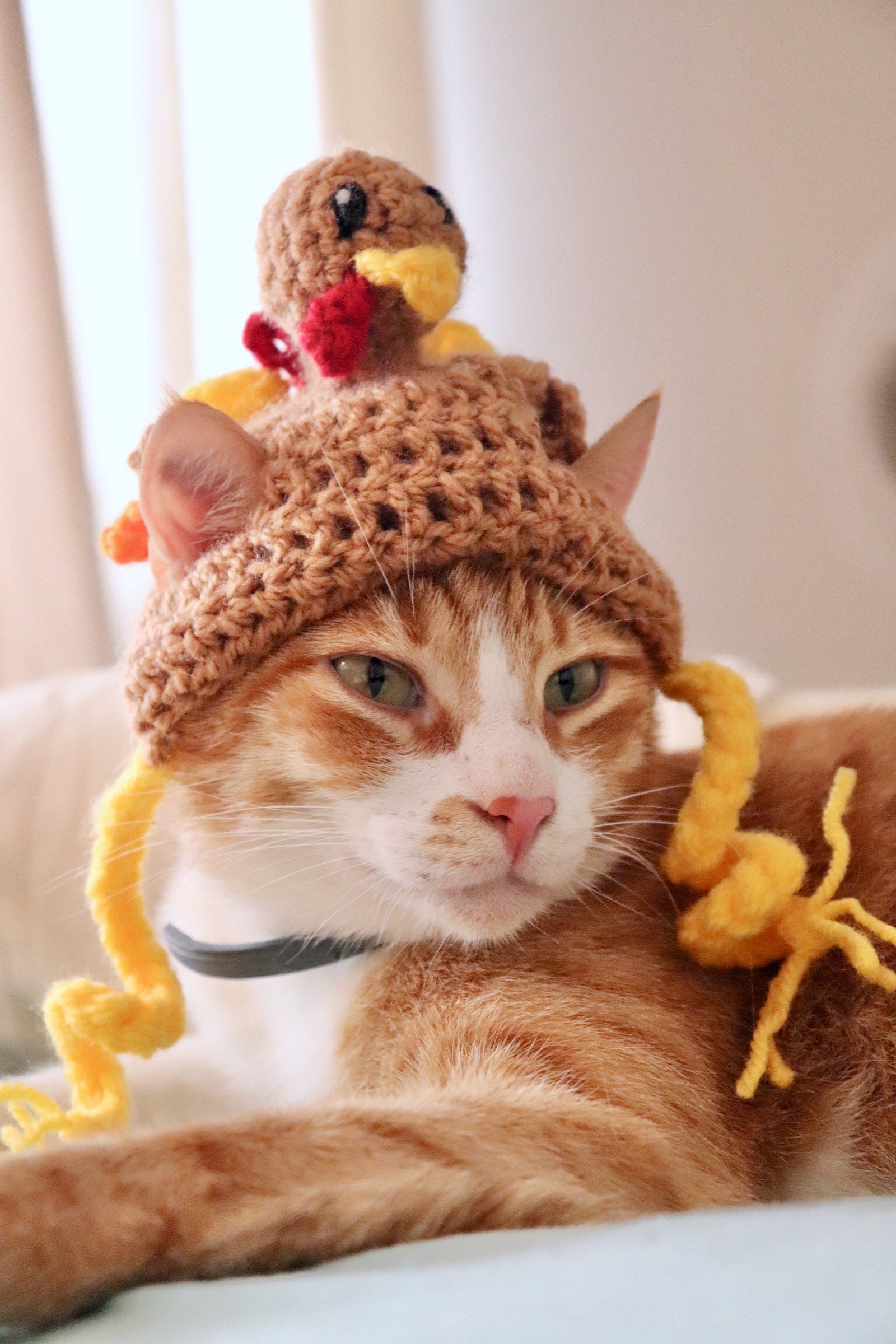 Thanksgiving Turkey Hat for Cats Funny Turkey Cat Hat With -  Denmark