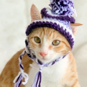 May include: An orange and white cat wearing a handmade crochet hat with a matching scarf. The hat is purple, white, and lavender with a pom-pom on top. The scarf ties under the cat's chin. The cat has green eyes and a pink nose.