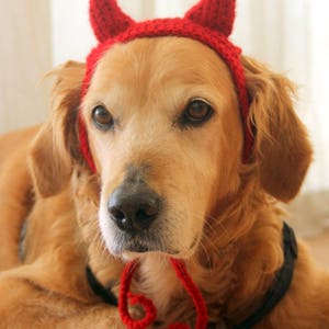 Devil Dog Costume, Devil Horns for Large Breed Dogs, Red Devil Dog Hat, Devil Halloween Dog Costume, Cute Dog Costume, Funny Dog Costume image 2