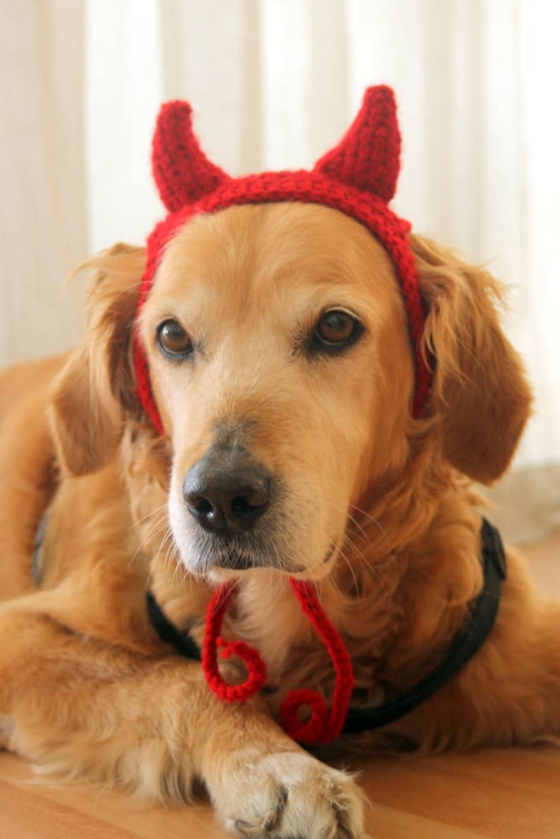 Devil Dog Costume, Devil Horns for Large Breed Dogs, Red Devil Dog Hat, Devil Halloween Dog Costume, Cute Dog Costume, Funny Dog Costume image 2