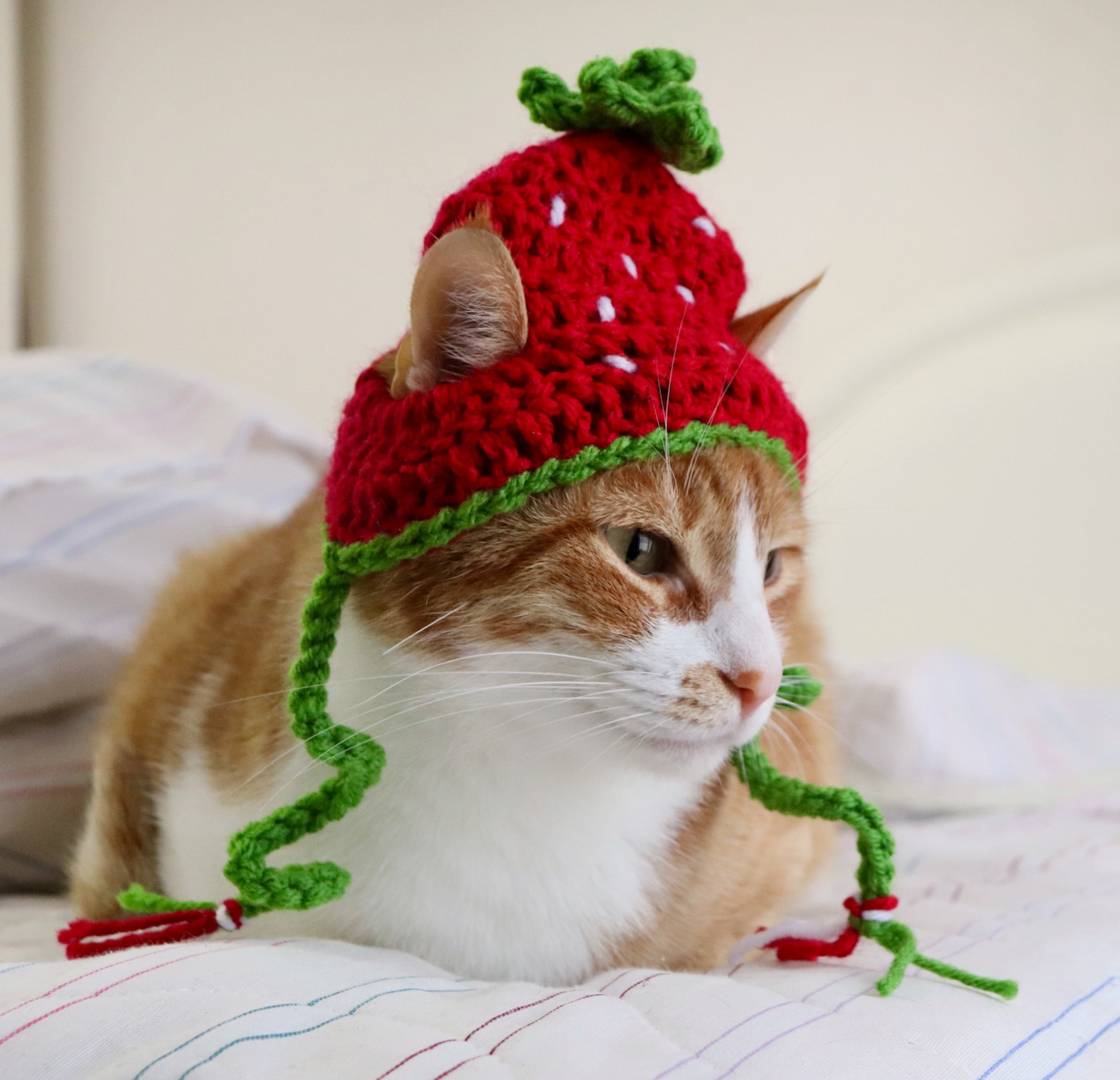 Strawberry Hat for Cats Crochet Strawberry Hat for Cats and Etsy