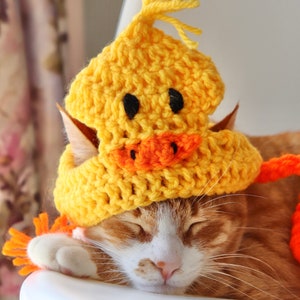 Duck Hat for Cats, Cute Yellow Ducky Cat Hat with Ear Holes, Easy Cat Halloween Costume Ideas, Funny Gift for Cat Lover, Crochet Pet Hats image 4