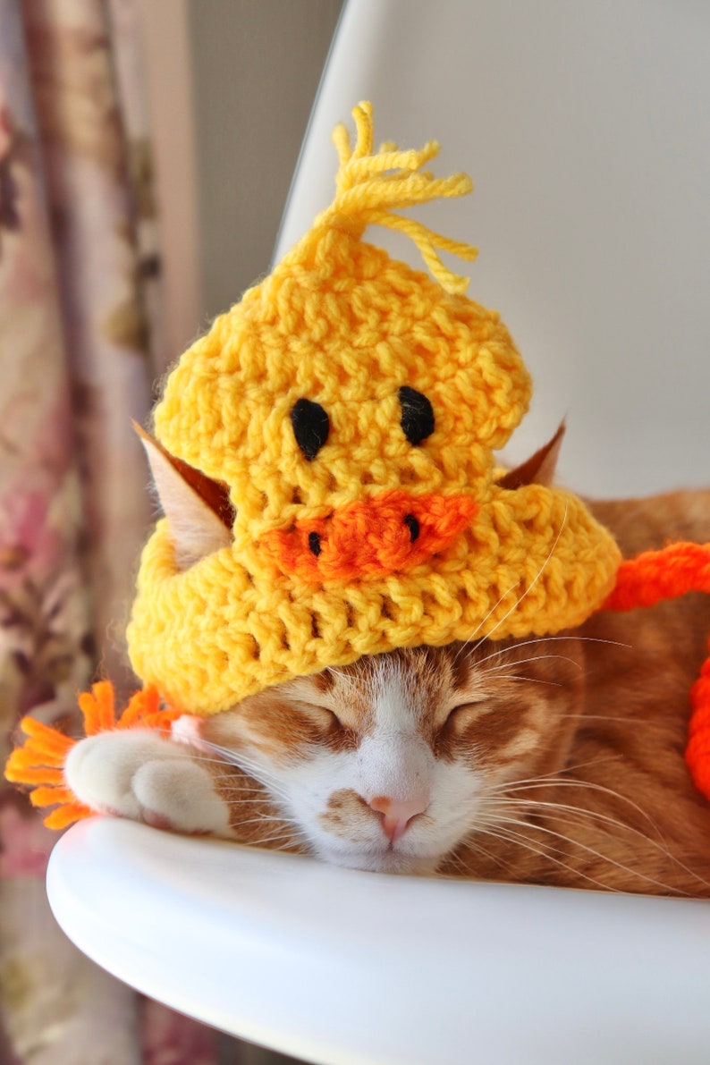 Duck Hat for Cats, Cute Yellow Ducky Cat Hat with Ear Holes, Easy Cat Halloween Costume Ideas, Funny Gift for Cat Lover, Crochet Pet Hats image 4