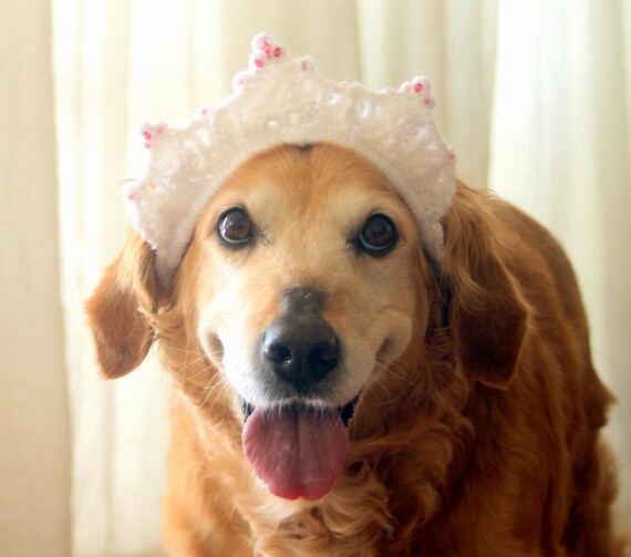 Items similar to Dog Tiara, Crown for Dogs, Dog Princess Crown, Queen