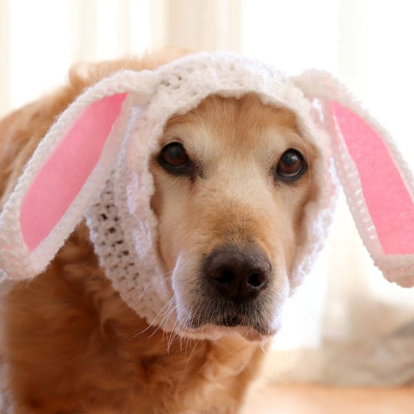 Easter Dog Outfit, Bunny Ears for Dogs, Rabbit Ears for Dogs, Dog Easter Costume, Bunny Ear Dog Hat, Easter Pet Costume, Bunny Ears for Pets