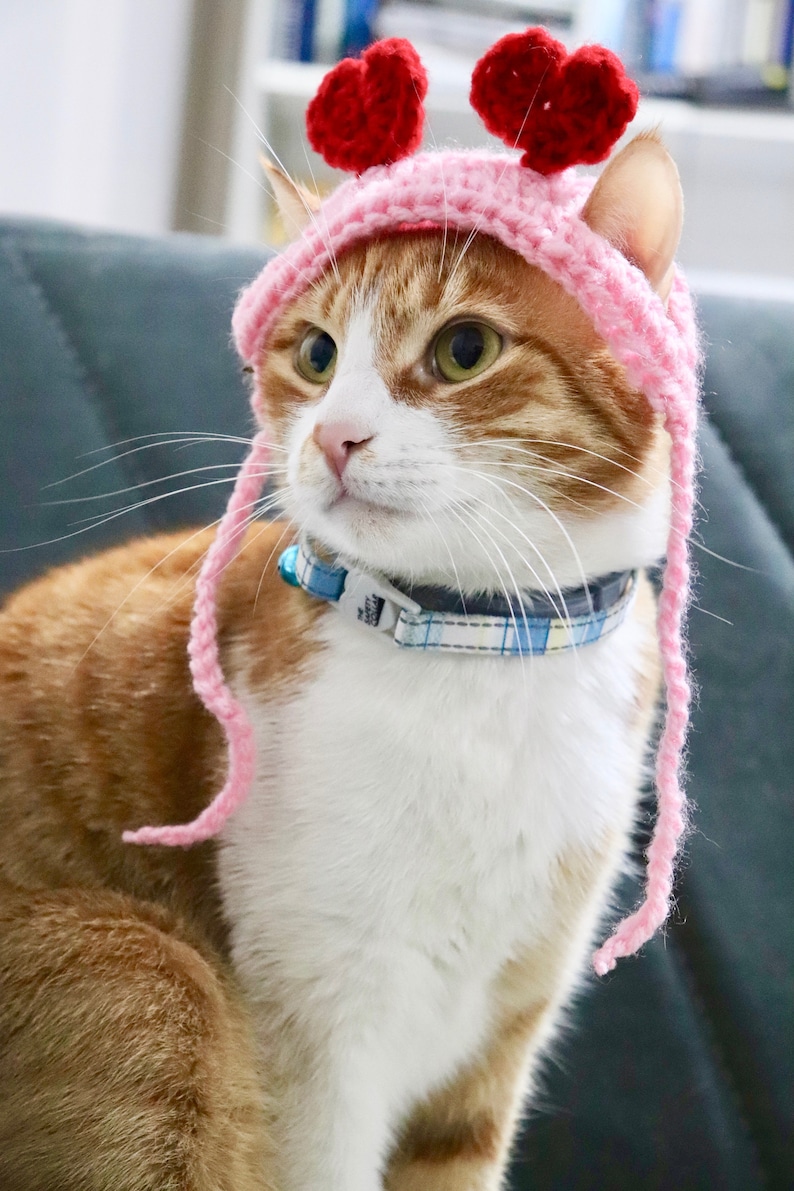 Crochet Pattern Valentines Day Heart Headband for Cats with Etsy
