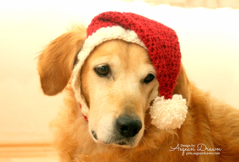 Santa Hat for Dogs, Dog Santa Hat, Holiday Dog Hat, Christmas Hat for Dogs, Large Breed Dog Hat, Christmas Dog Hat, Santa Dog Hat image 6