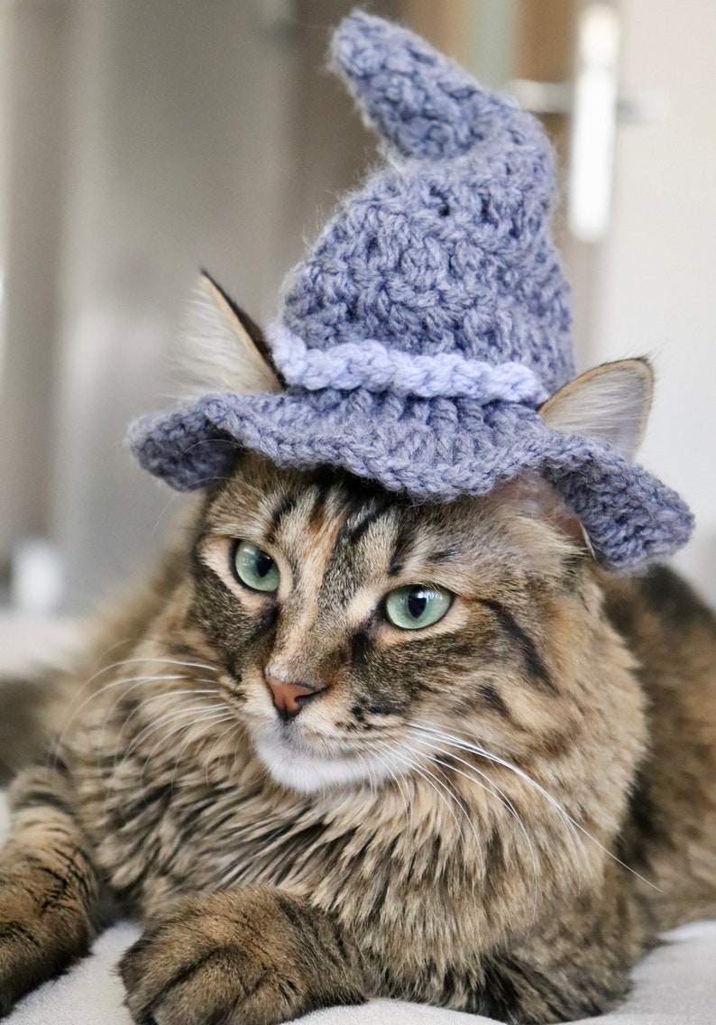 May include: A brown tabby cat wearing a blue crocheted witch hat. The cat is lying down with its head tilted to the side and its eyes open.