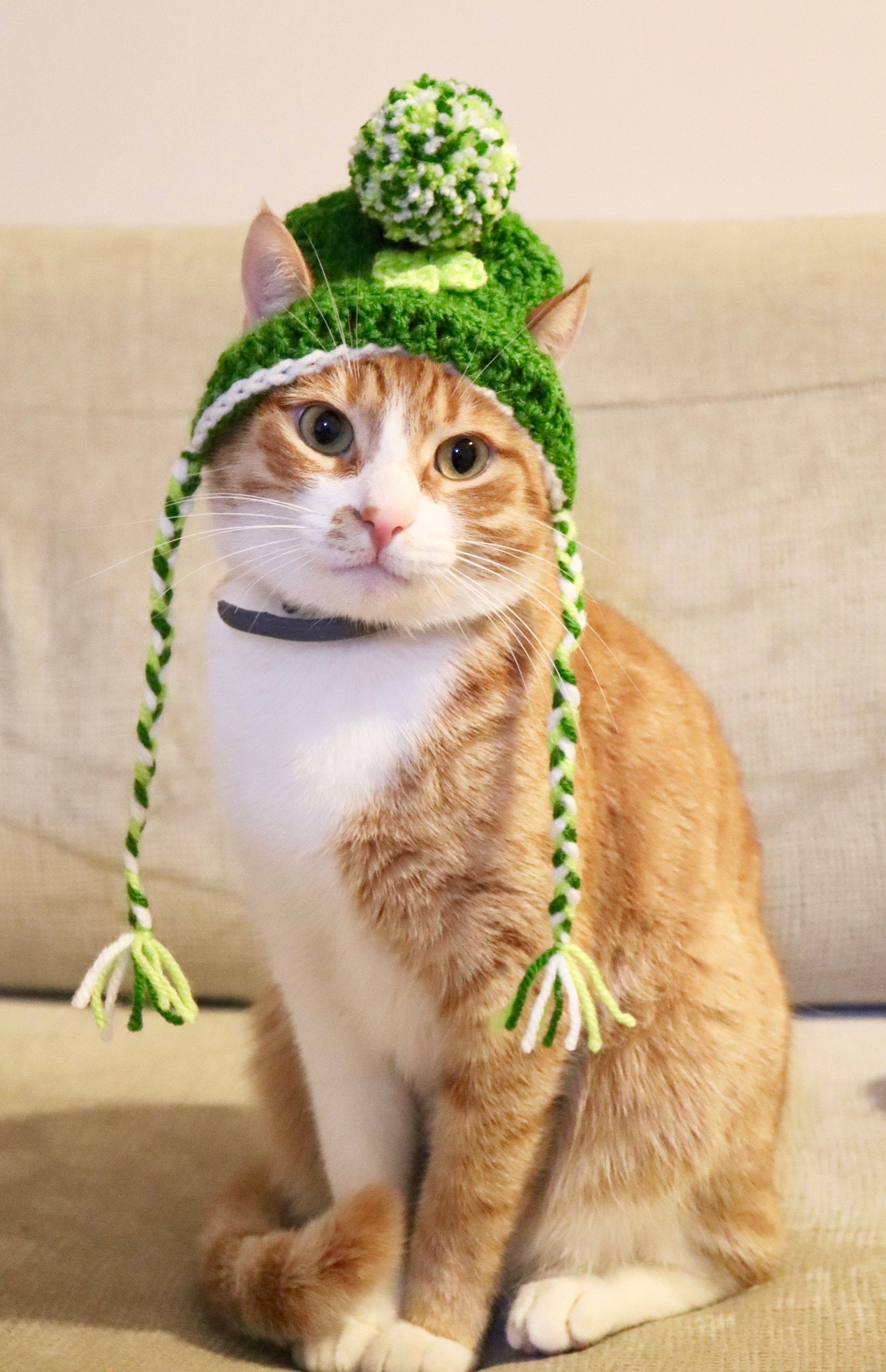 St. Patrick's Day Beanie Hat for Cats, Green Saint Pattys Day Cat