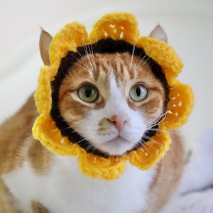 CROCHET PATTERN: Cat Flower Headband / Collar. Instant Download PDF Crochet Instructions for Flower Costume for Pets with Video Support image 6