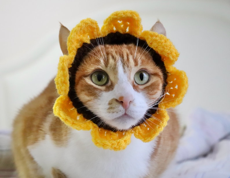 CROCHET PATTERN: Cat Flower Headband / Collar. Instant Download PDF Crochet Instructions for Flower Costume for Pets with Video Support image 6