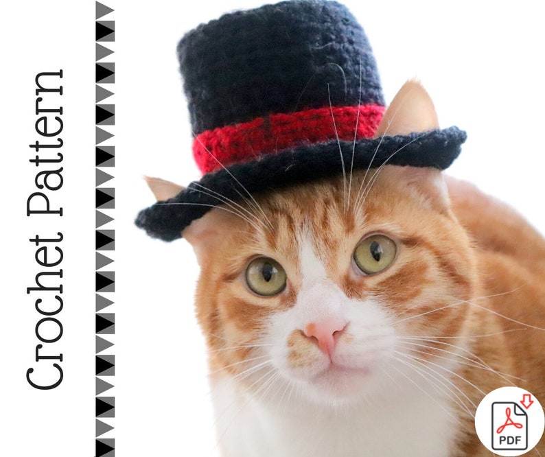 Crochet Pattern: Top Hat for Cats, Crochet Top Hat Pattern with Ear Holes for Cats / XS Dog Breeds, New Years Crochet Pattern for Pets image 1