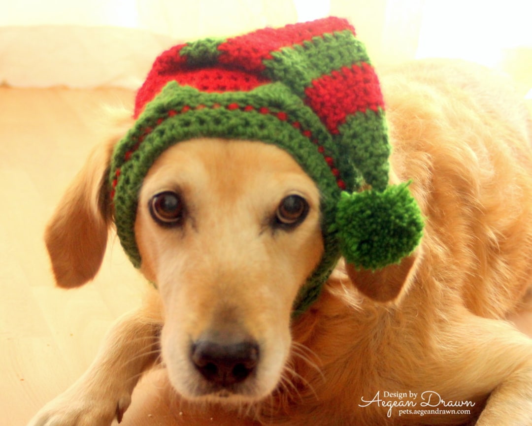 Santa's Helper Dog Hat, Elf Hat for Dogs, Dog Elf Hat, Holiday Dog Hat