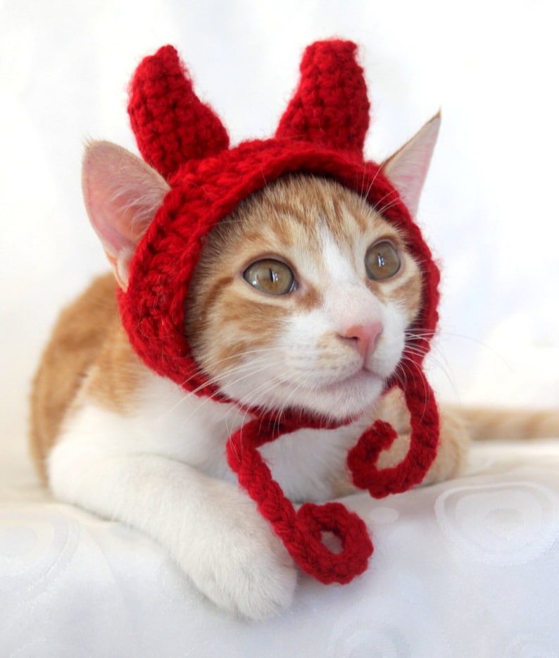Crochet Pattern Devil Horn Hat / Headband for Cats Crochet Etsy