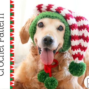 May include: A golden retriever dog wearing a red and white striped crochet elf hat with green trim and pom poms. The hat has a green crocheted band around the dog's head.